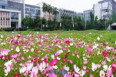 重庆市商务职业学校