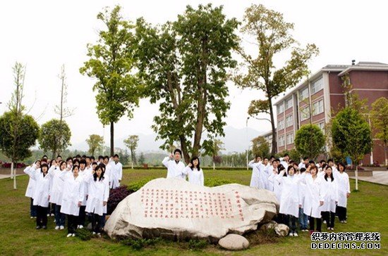 重庆医科大学有哪些专业及什么专业好_招生问答